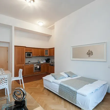 Slovansky Dum Boutique Apartmán Praha